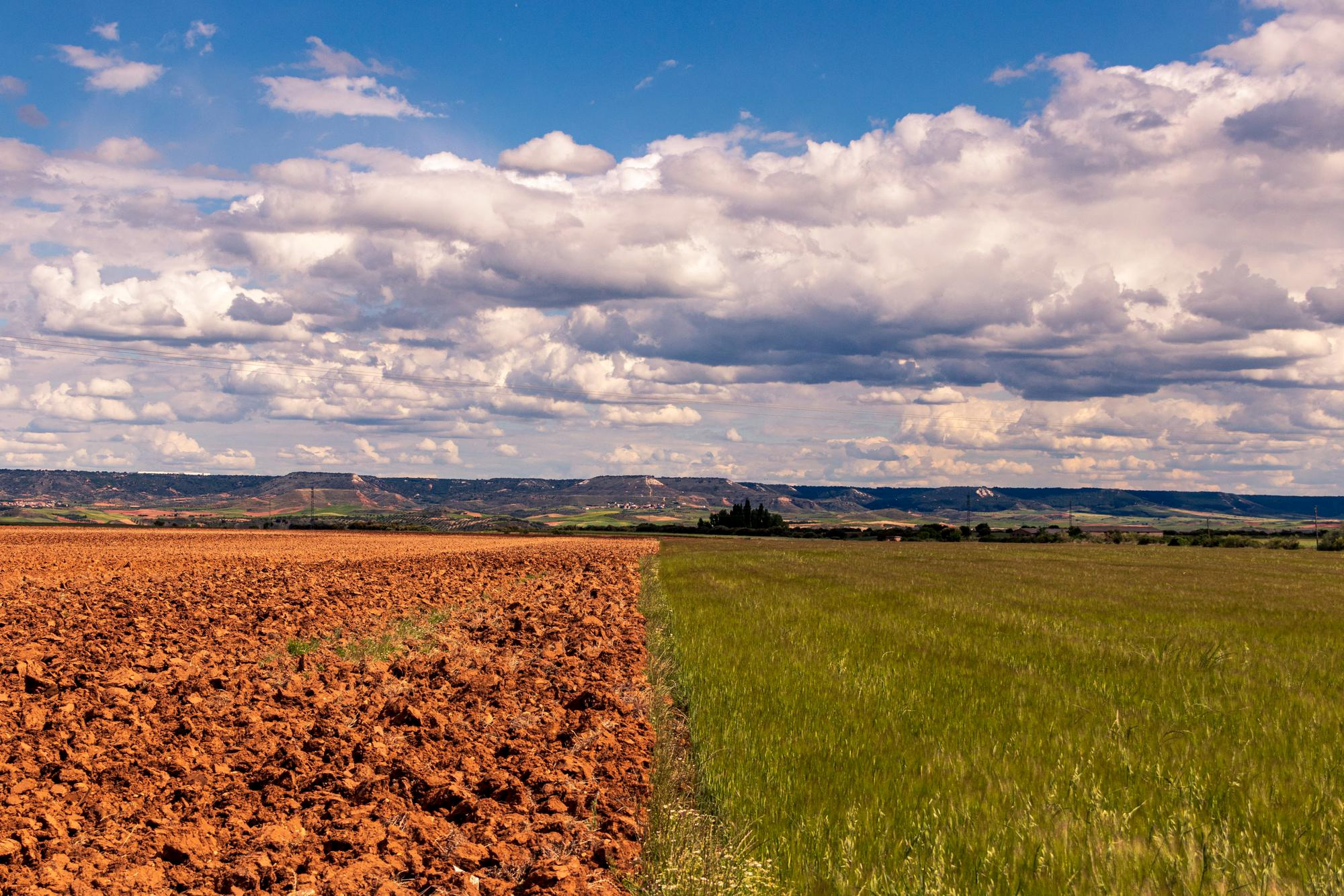 Seguro Rural
